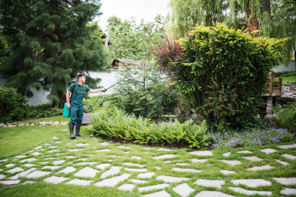 Best Best Pest Control Companies  in Irwin, SC