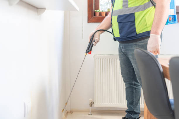 Best Local Pest Control Services  in Irwin, SC