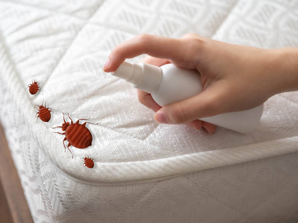 Best Pest Inspection Near Me  in Irwin, SC