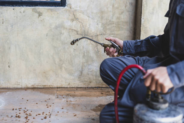 Best Pest Removal Services  in Irwin, SC